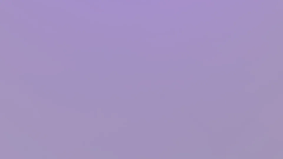 Pipparo 地图缩略图